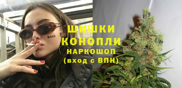 прущая мука Ельня