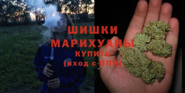 метадон Елизово