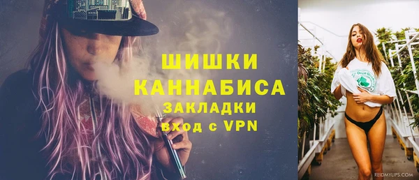 прущая мука Ельня